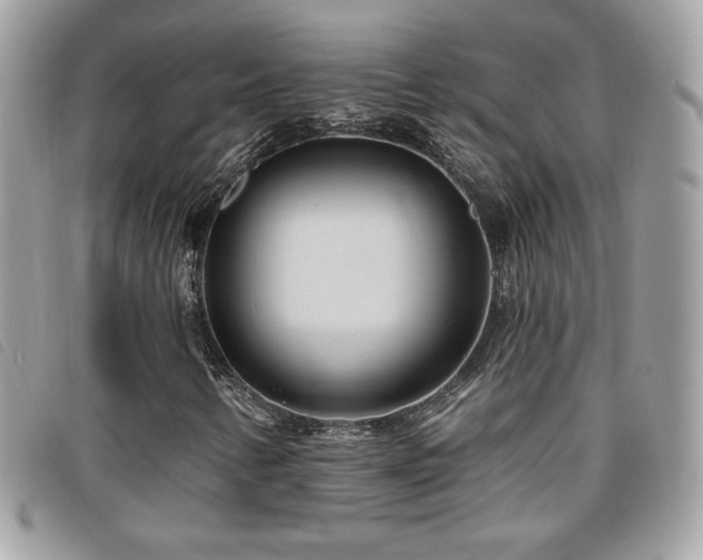 X0000095961346200801111353
