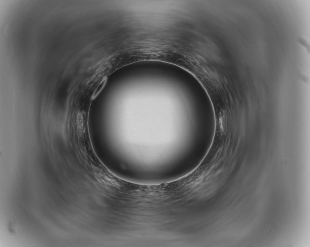 X0000095961347200801111353