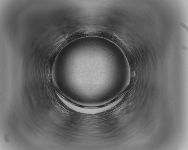 X0000095961348200801111353