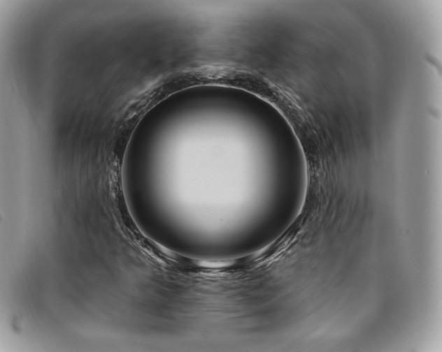 X0000095961349200801111353