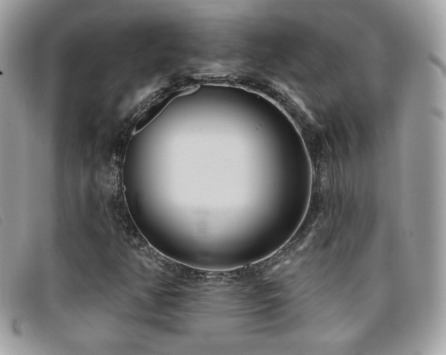 X0000095961350200801111353