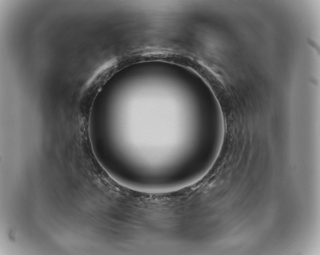 X0000095961351200801111353