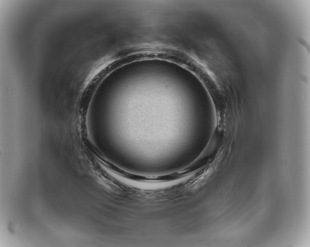 X0000095961352200801111353