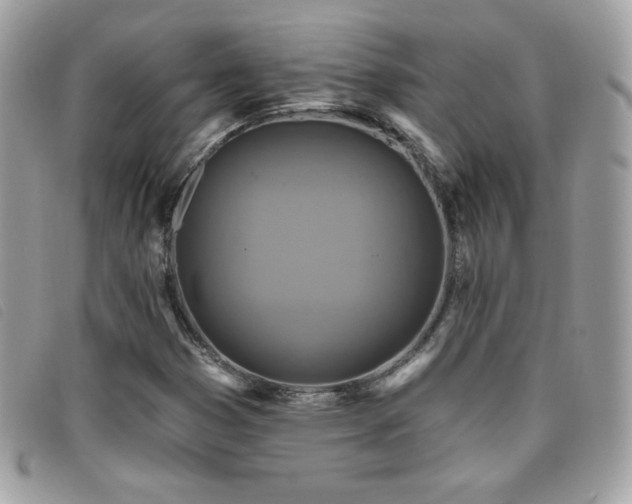 X0000095961353200801111353
