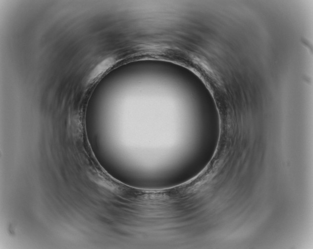 X0000095961354200801111353