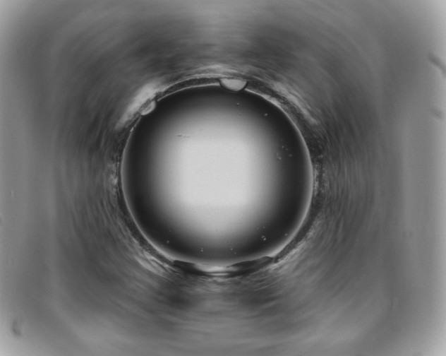 X0000095961355200801111353
