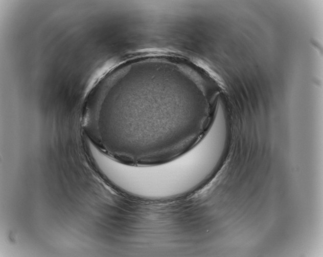 X0000095961357200801111353