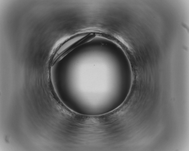 X0000095961358200801111353