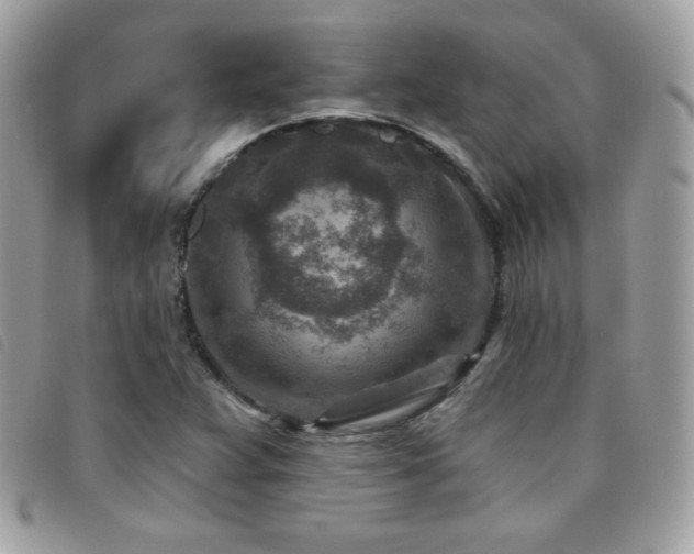 X0000095961359200801111353
