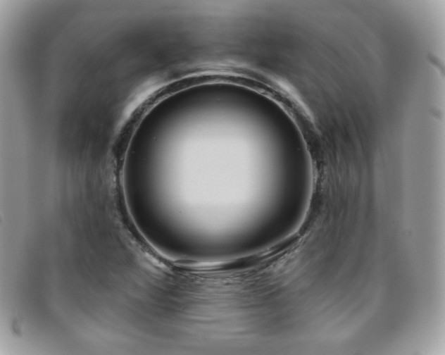 X0000095961360200801111353