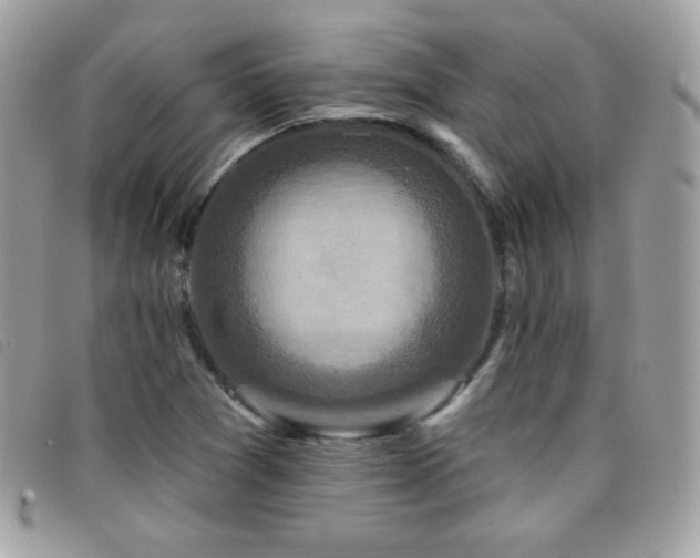 X0000095961361200801111353