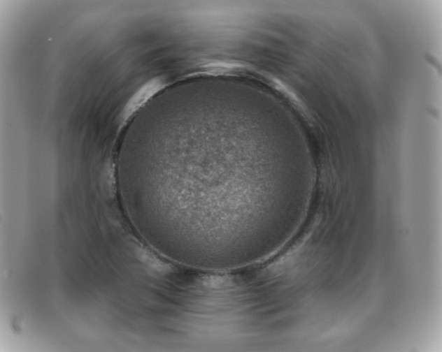 X0000095961362200801111353