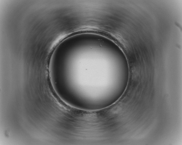 X0000095961363200801111353