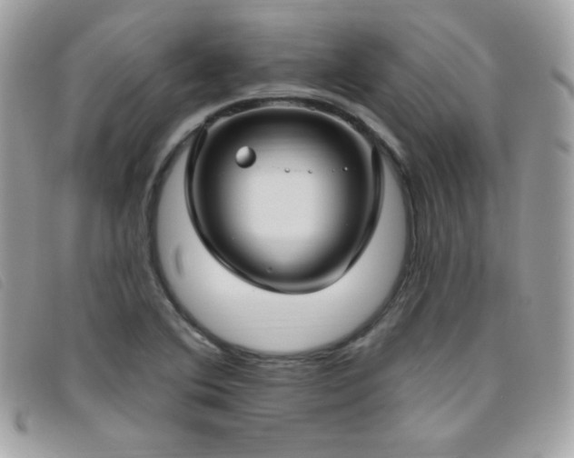 X0000095961364200801111353