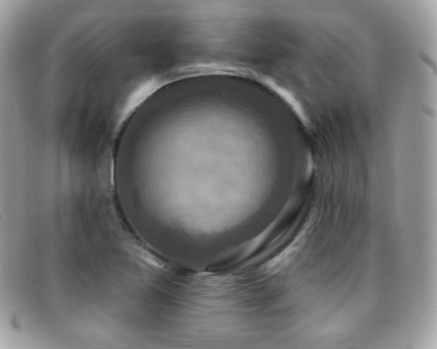 X0000095961365200801111353