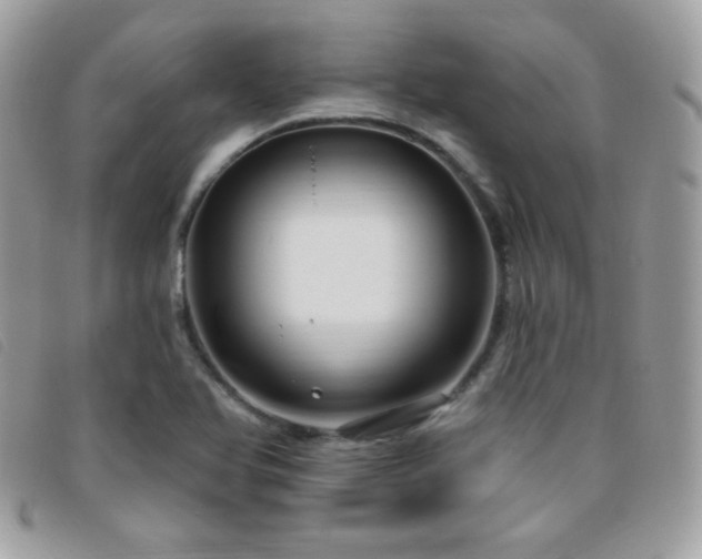 X0000095961366200801111353