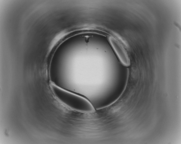 X0000095961368200801111353