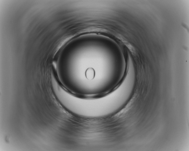 X0000095961369200801111353