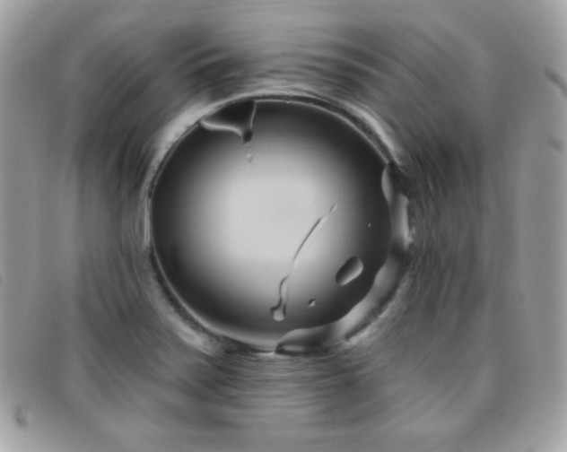X0000095961371200801111353