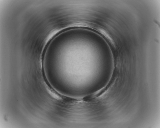 X0000095961372200801111353
