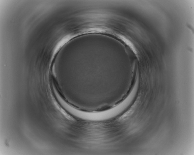 X0000095961373200801111353
