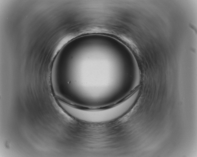 X0000095961374200801111353