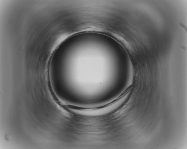 X0000095961375200801111353