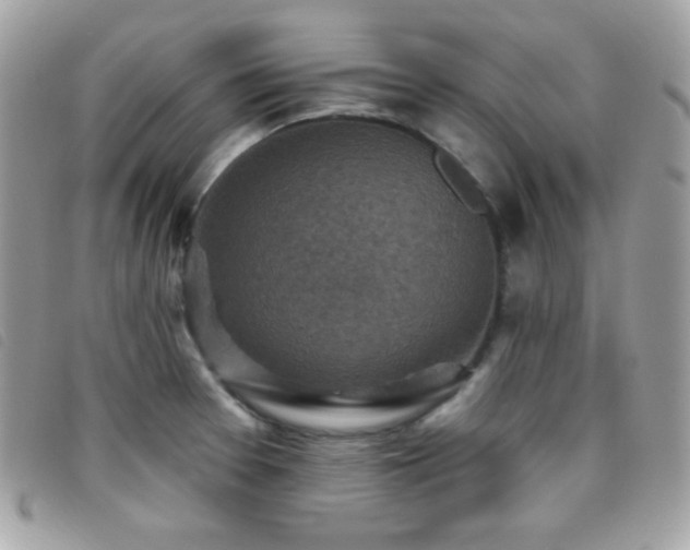 X0000095961377200801111353