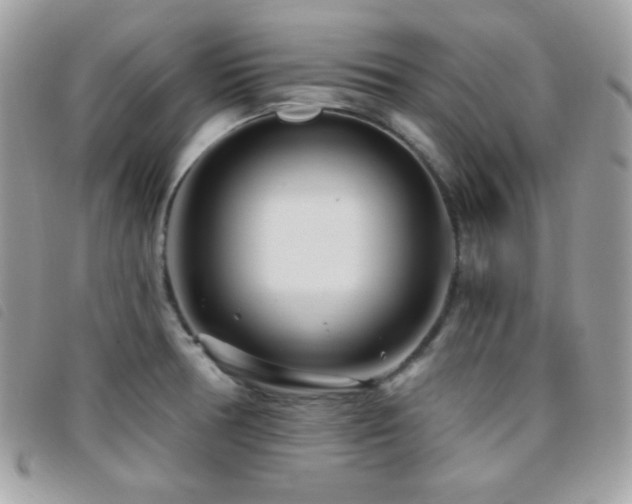 X0000095961378200801111353