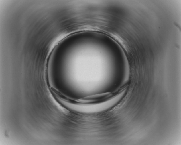 X0000095961379200801111353