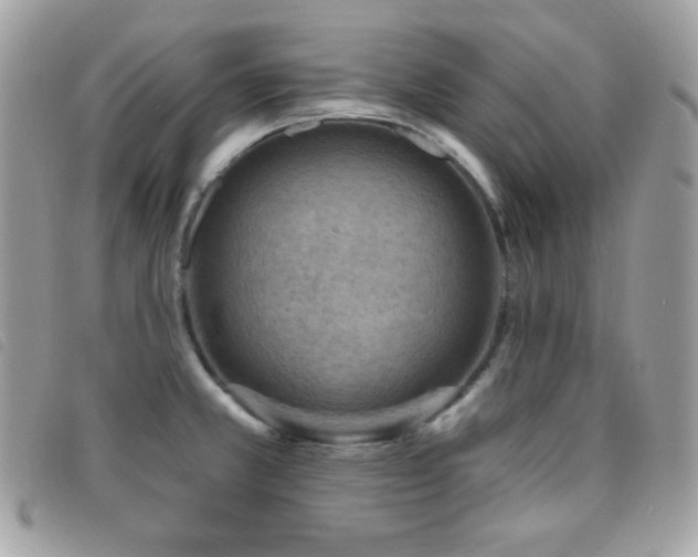 X0000095961381200801111353