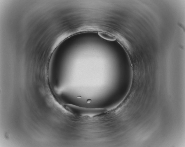 X0000095961382200801111353