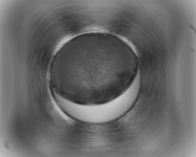 X0000095961383200801111353