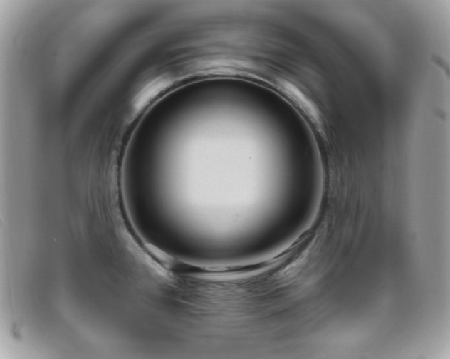 X0000095961384200801111353
