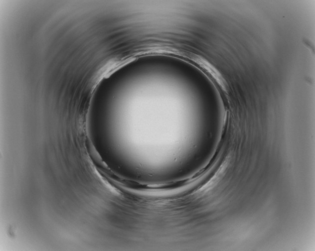 X0000095961385200801111353