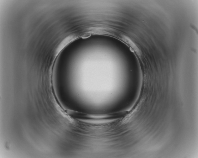 X0000095961386200801111353