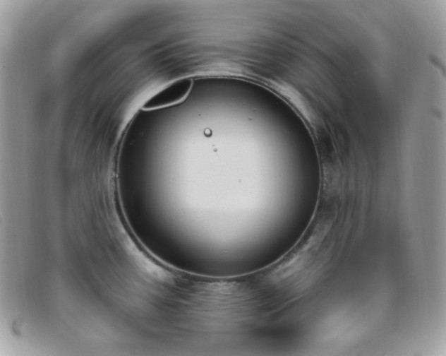 X0000095961387200801111353
