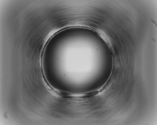 X0000095961388200801111353