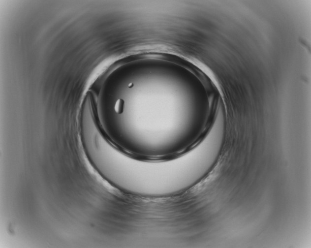 X0000095961389200801111353