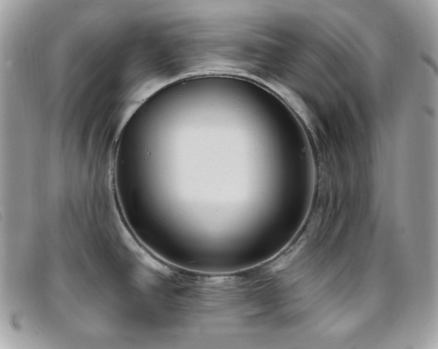 X0000095961390200801111353