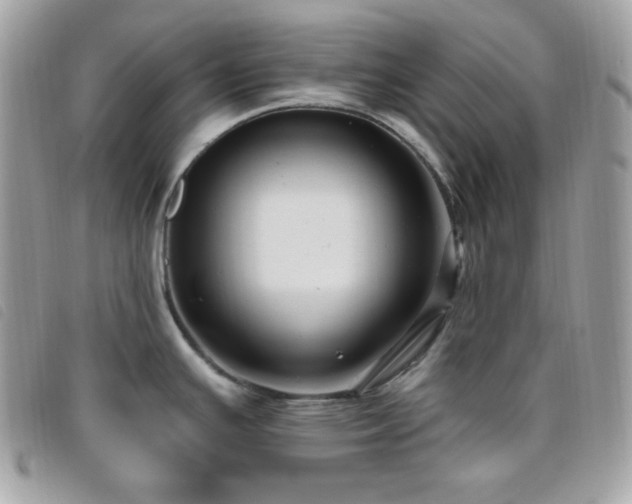 X0000095961391200801111353