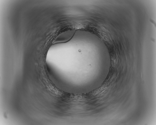 X0000095961393200801111352