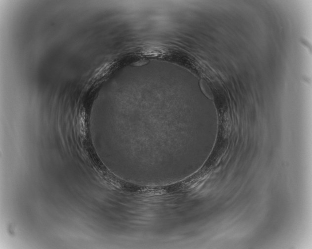 X0000095961394200801111352