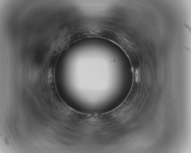 X0000095961395200801111352