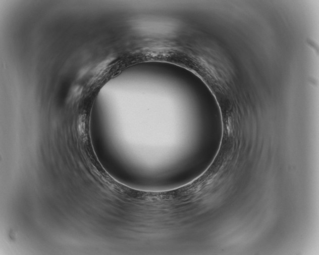X0000095961396200801111352