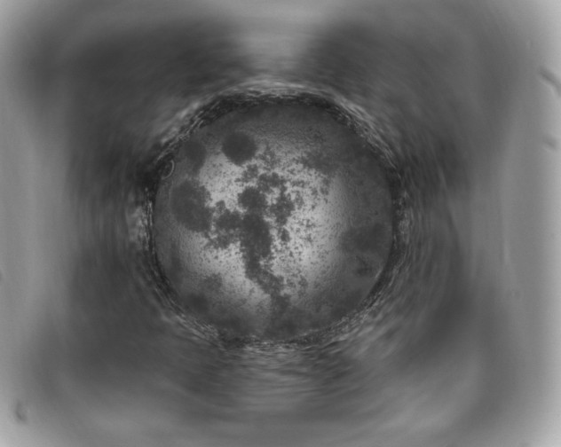 X0000095961397200801111352