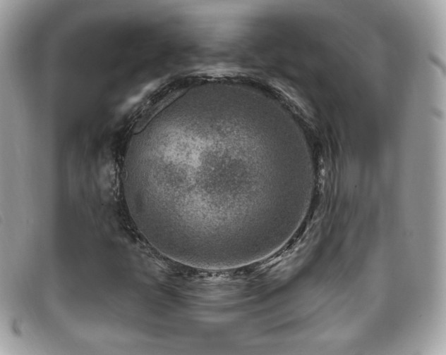 X0000095961398200801111352