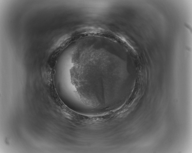 X0000095961399200801111352