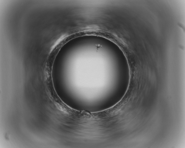 X0000095961400200801111352