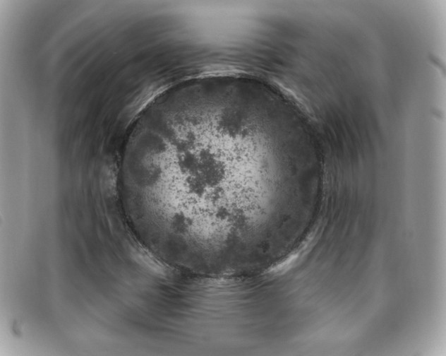 X0000095961401200801111352